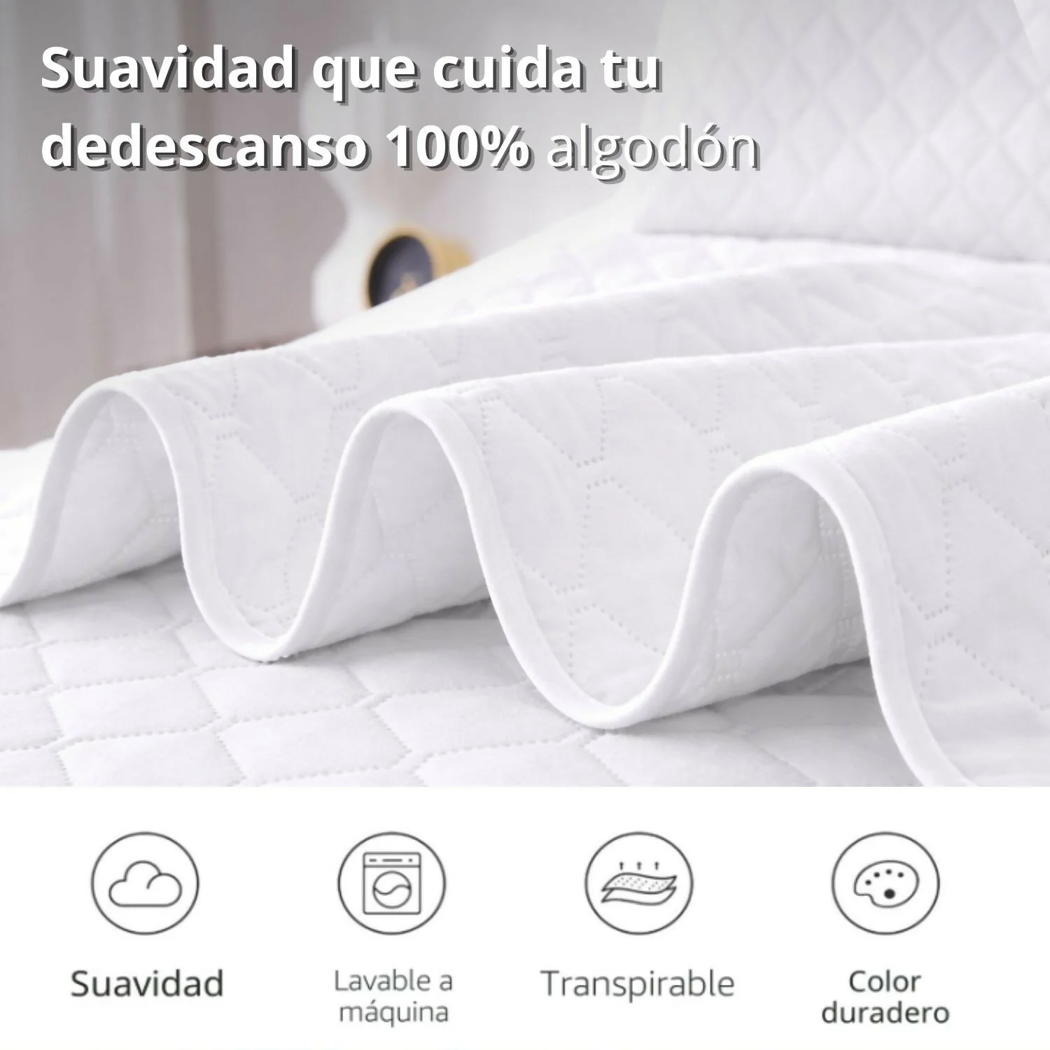 Imagen del producto 12