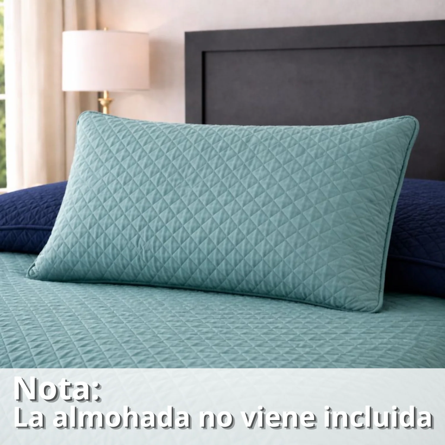Imagen del producto 64