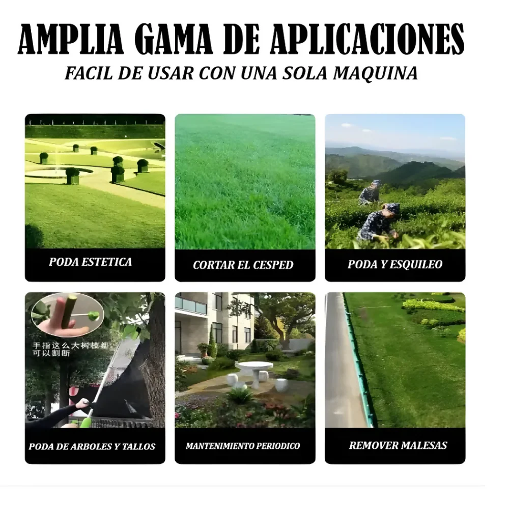 Imagen del producto 5