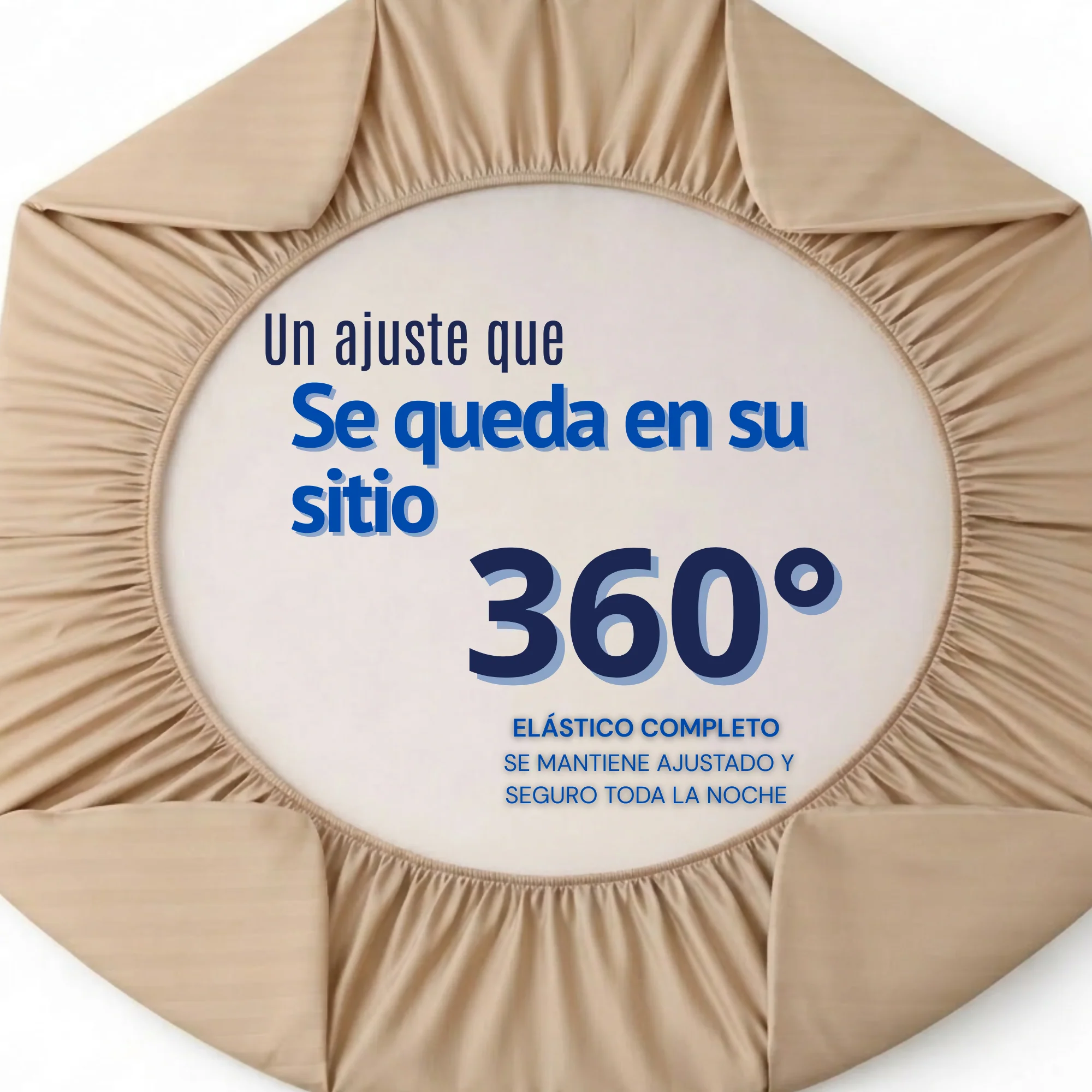 Imagen del producto 31