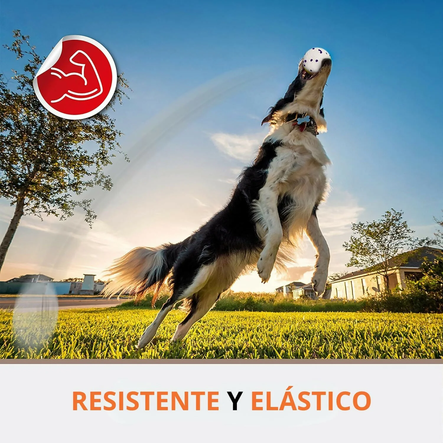 Imagen del producto 3