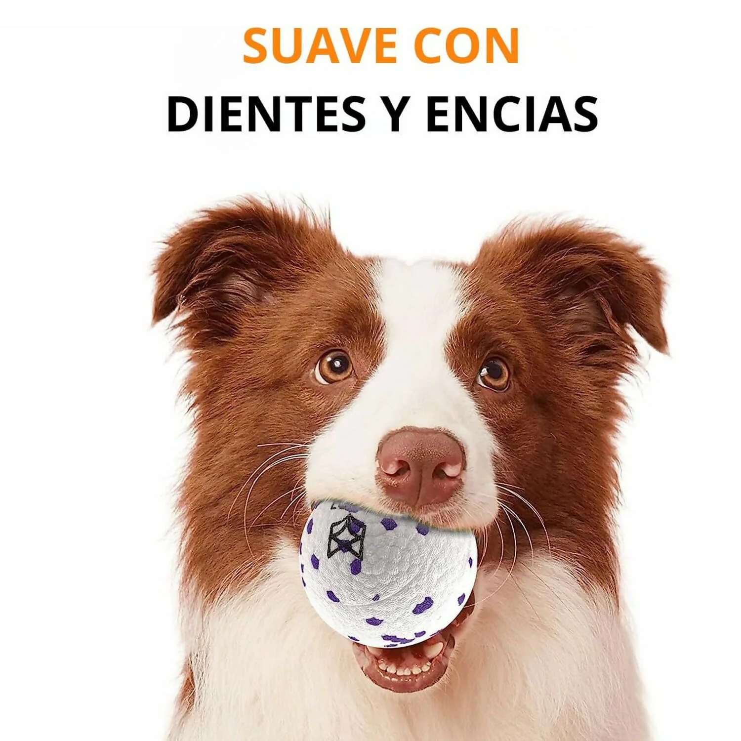 Imagen del producto 5